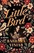 Little Bird by Barbara Viniar
