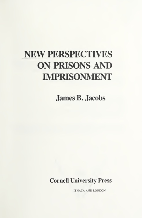 New perspectives on prisons and imprisonment