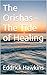 The Orishas - The Tide of H...