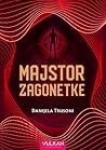 Majstor zagonetke