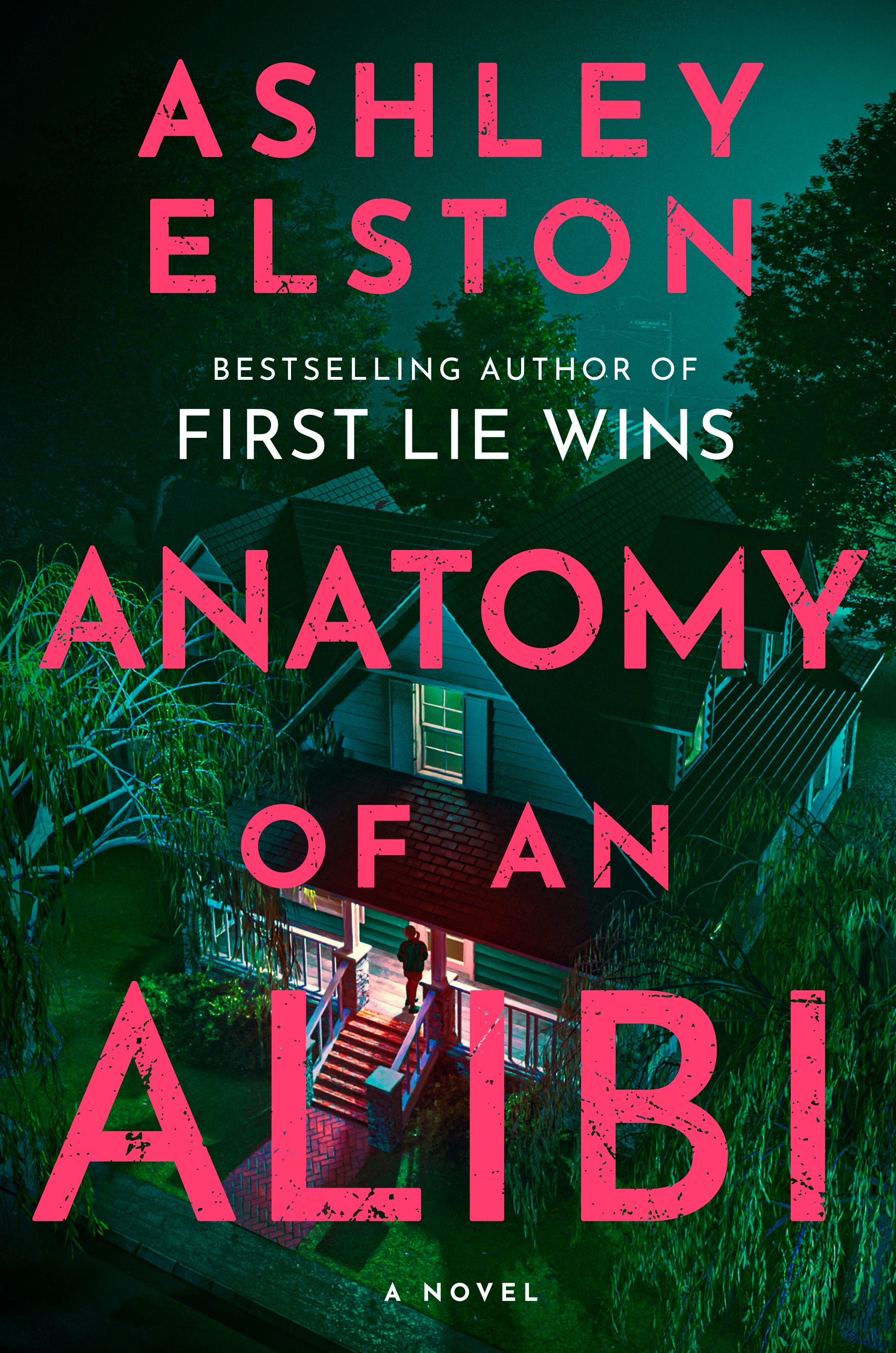 Anatomy of an Alibi (Hardcover)