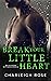 Break Your Little Heart (Heartbreak Hill, #2)