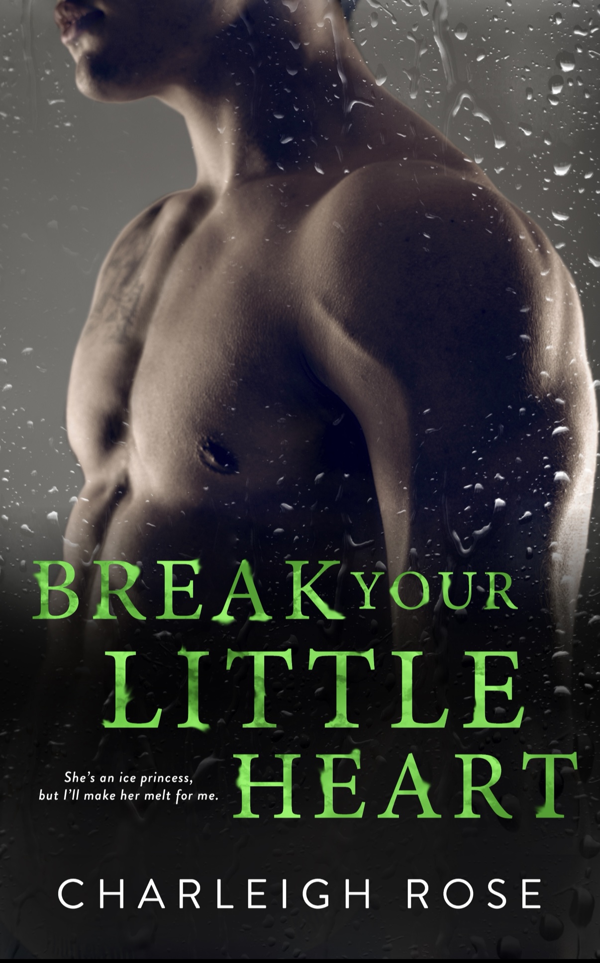 Break Your Little Heart (Heartbreak Hill, #2)