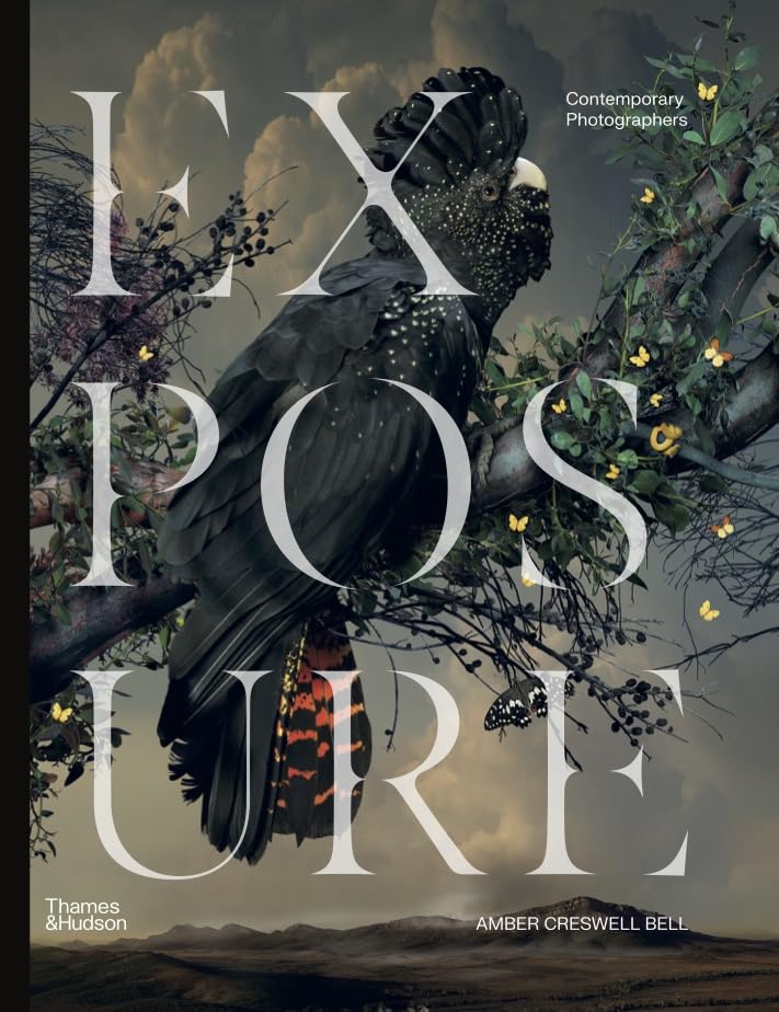 Exposure: Contemporary Photographers (Hardcover)