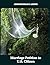 Marriage Petition to U.S. Citizen by Brian D Lerner