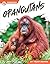 Orangutans (Primates)