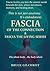 FASCIA OF THE CONNECTION: F...