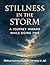 Stillness in the Storm. A J...