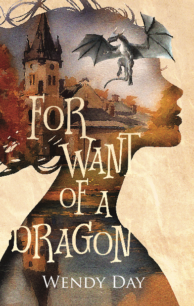 For Want Of A Dragon (Paperback)