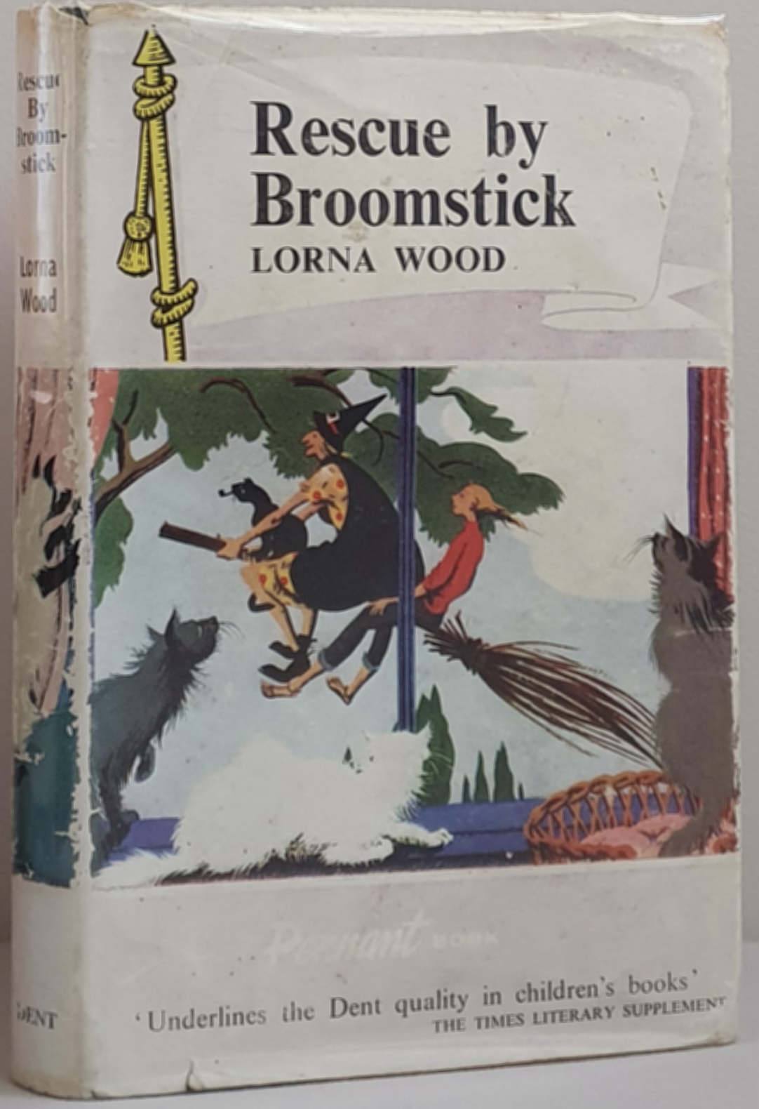 Rescue by Broomstick (Hardcover)