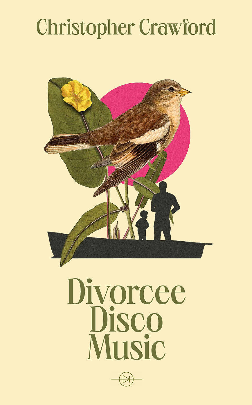 Divorcee Disco Music