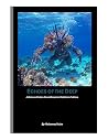 Echoes of the Deep
