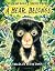 A Bear Belongs by Catherine Barr