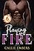 Playing with Fire: A spicy ...