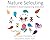 Nature Selecting : A children's book explaining evolution