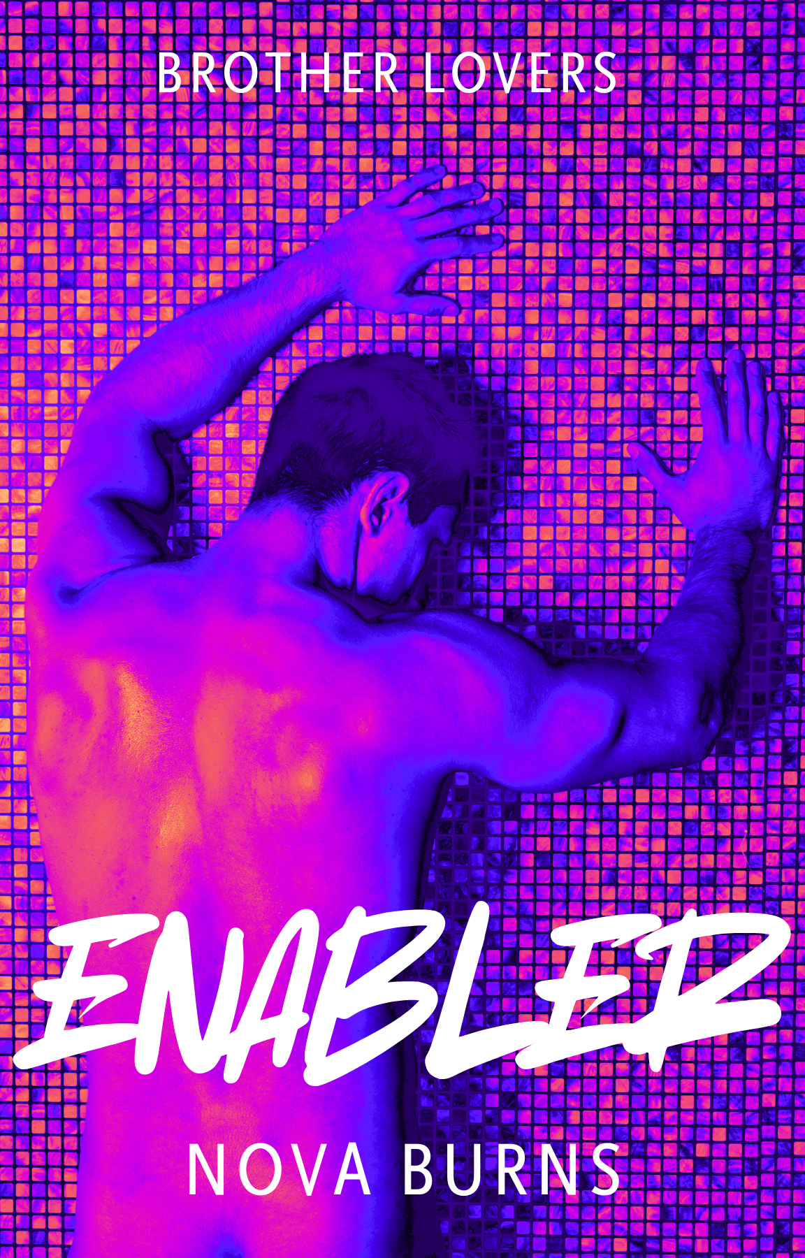 Enabler (Brother Lovers #4)