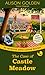The Case of Castle Meadow by Alison Golden