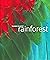 Rainforest