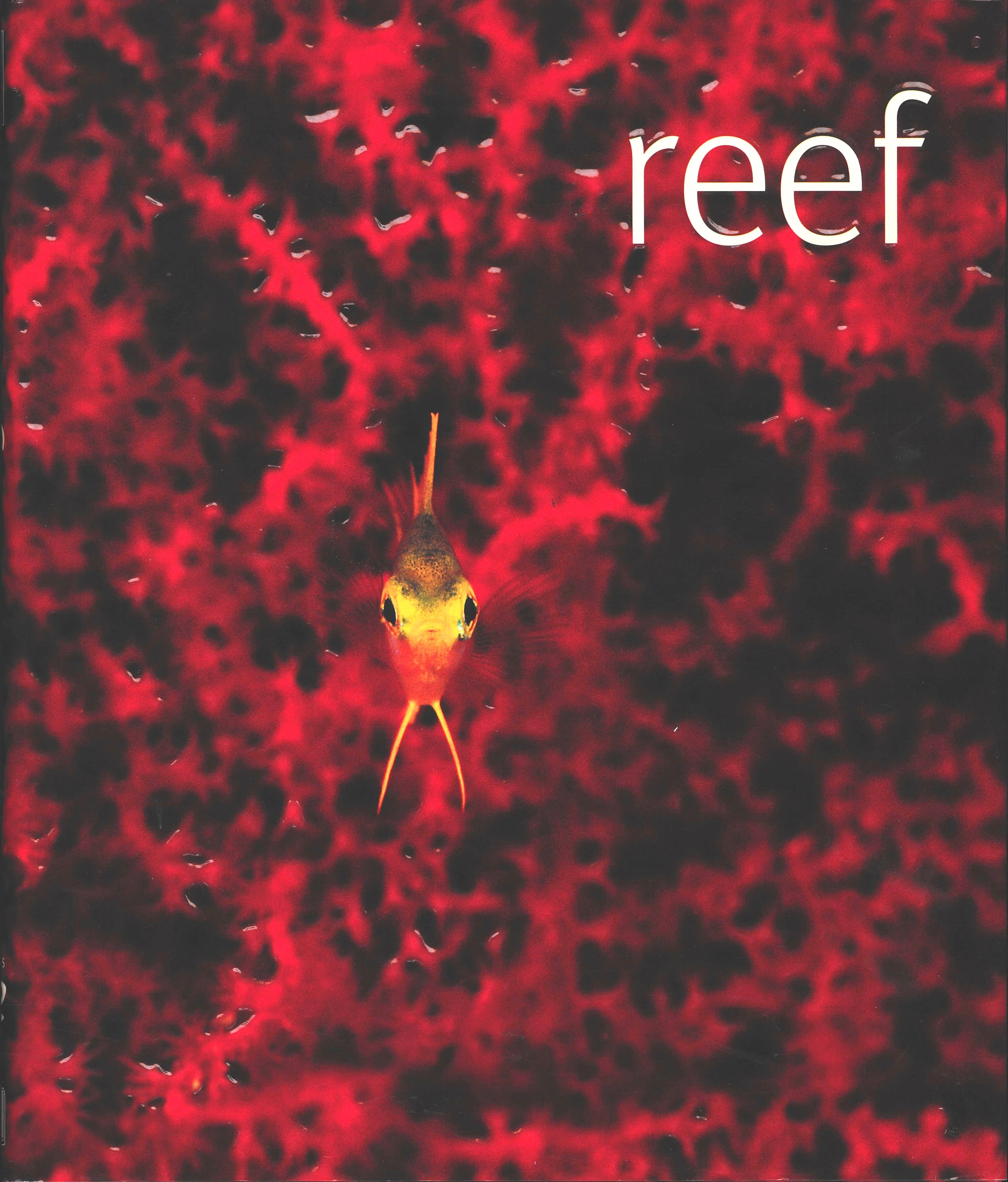 Reef