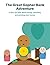 The Great Gopher Bank Adventure by Tim Connolly