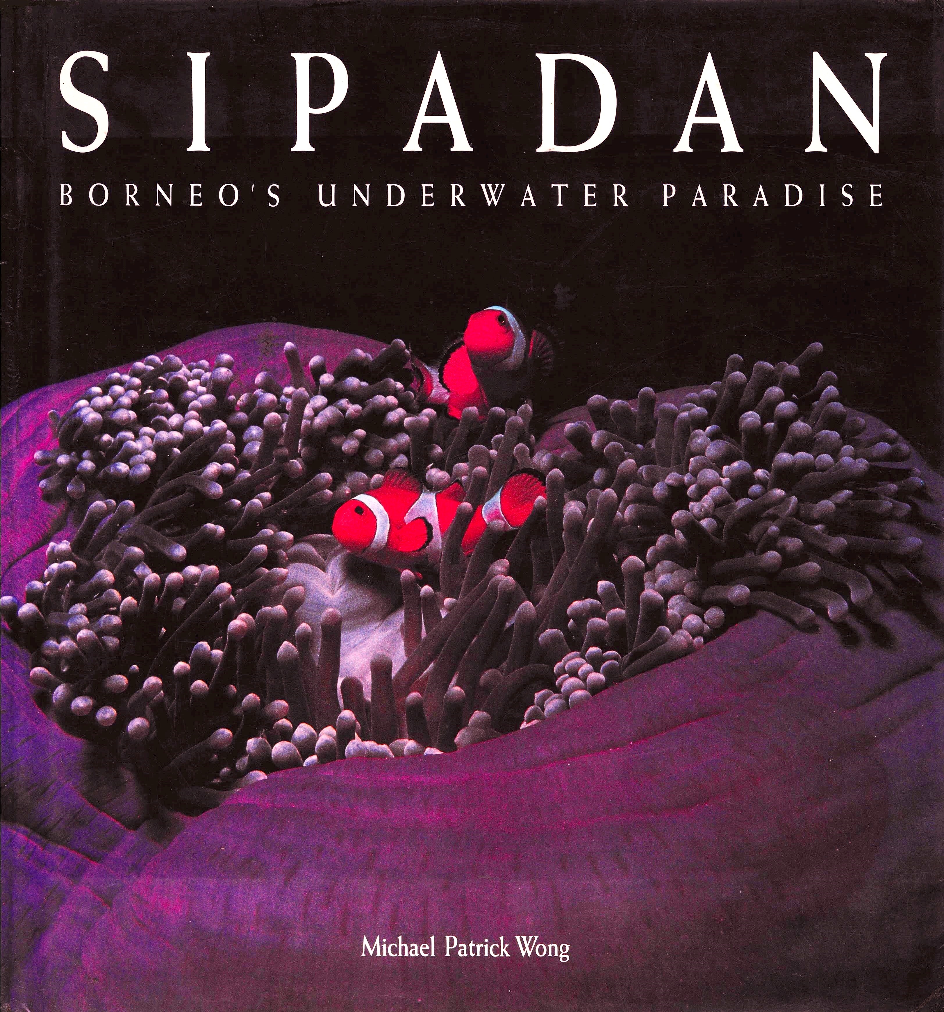 Sipadan: Borneo's Underwater Paradise (Hardcover)