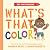 The Questioneers: What's That Color?: A Board Book