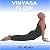 Vinyasa Flow: A Vinyasa Flo...