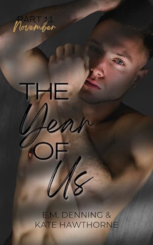 The Year of Us: November (Kindle Edition)