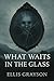 What Waits in the Glass by Ellis Grayson