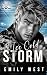 Ice Cold Storm: A dark roma...