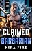 Wrecked by the Barbarian: A...