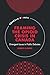 Framing the Opioid Crisis i...