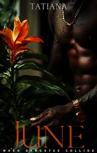 JUNE: When Gangstas Collide (Kindle Edition)