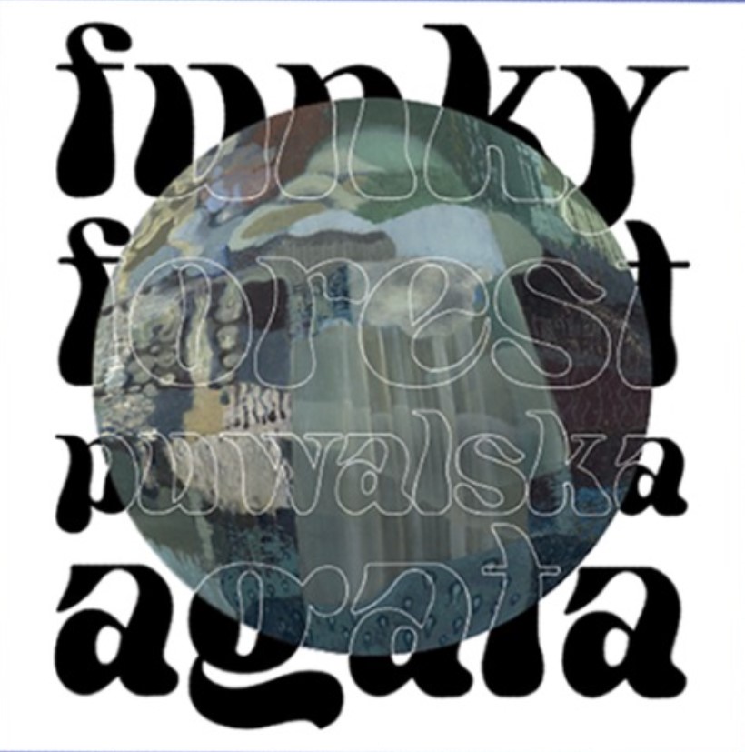 Funky Forest. poemat pozoru (Paperback)