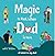 Magic Is Real, When Dad Is Here by Zahra Ghasemi