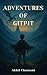 Adventures of Gitpit