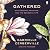Gathered: On Foraging, Feasting, and the Seasonal Life