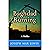 Baghdad Burning: A Thriller