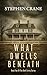 What Dwells Beneath (Dark Entity #2)