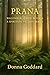 Prana: A Spiritual Fiction ...
