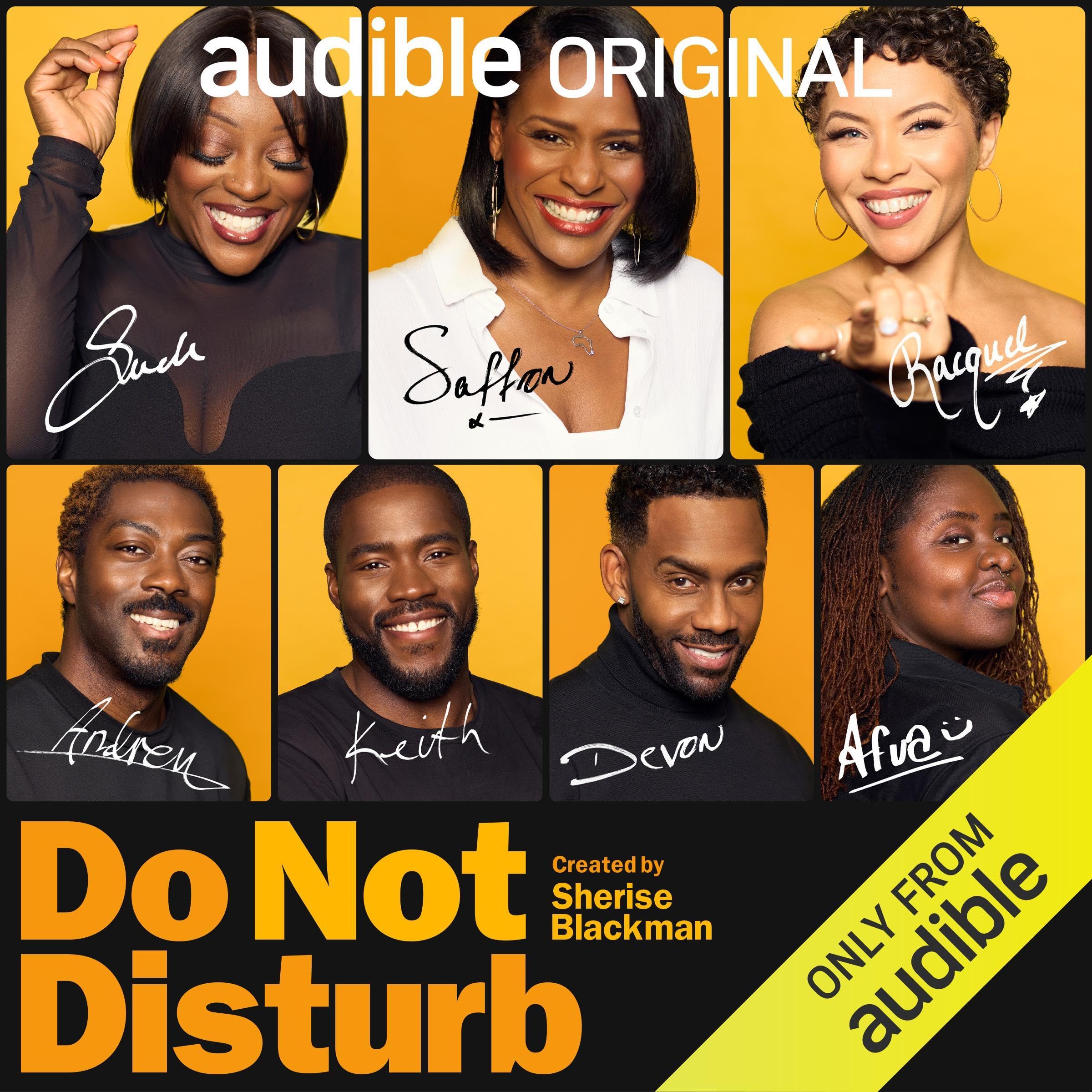 Do Not Disturb: Good Sex in Progress (Audible Audio)