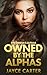 Owned by the Alphas by Jayce Carter