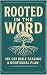 Rooted in the Word: 365-Day...