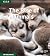 The Rise of Mammals (GM Kid...