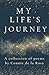 My Life's Journey