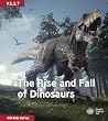 The Rise and Fall...