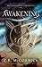 Awakening by Z R McCormick