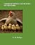 UNDER HIS WINGS by Erin Phillips