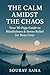 The Calm Amidst the Chaos by SOURAV SAHA