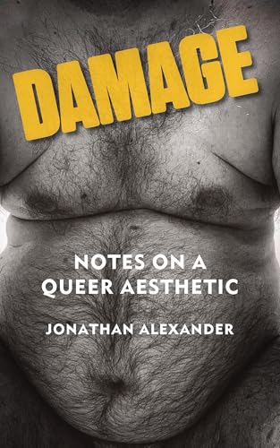 Damage: Notes on a Queer Aesthetic (Paperback)